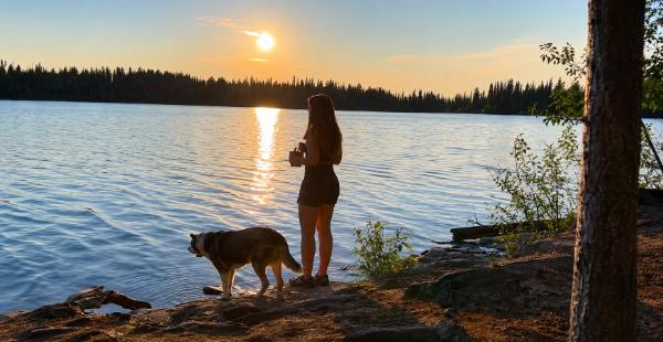 Solo Travel With a Dog